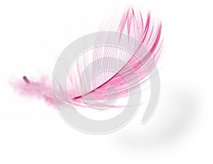 Feather