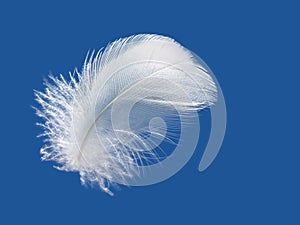 Feather