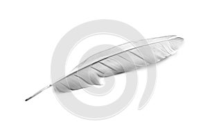 Feather