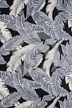 Feather background
