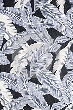 Feather background