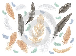 Feather bird isolated vector set.
