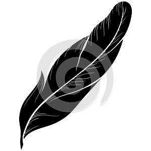 Feather bird silhouette