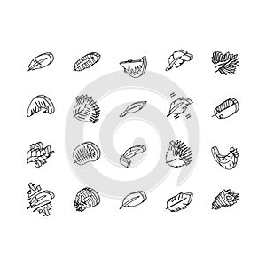 feather bird soft quil fluffy isometric icons set vector