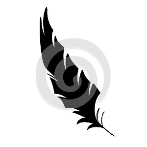 Feather of birds. Black feather silhouette for logo vector set