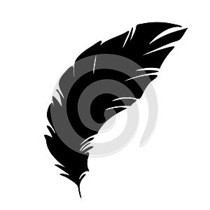 Feather of birds. Black feather silhouette for logo vector set