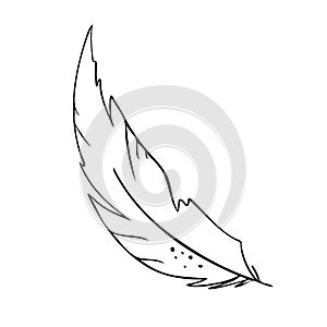 Feather of birds. Black and white feather silhouette for logo vector set