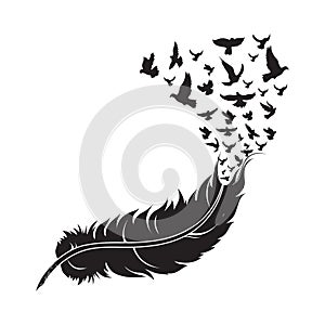 feather with birds. Vector illustration decorative design