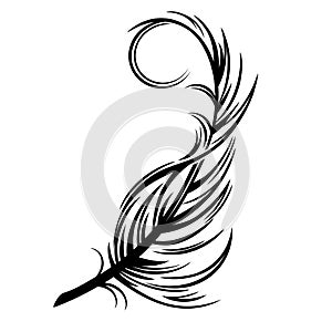 Feather black abstract isolated