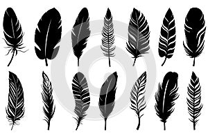 Feather black icon. Feather icons set. Various feathers