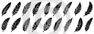 Feather black icon. Feather icons set. Various feathers.