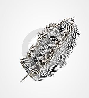 Feather black pen, vector illustration, vitage designe photo