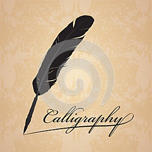 Feather calligraphic pen on old paper vintage vector design