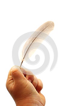 Feather in child hand