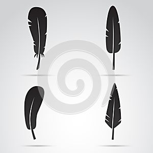 Feather collection vector icon set.