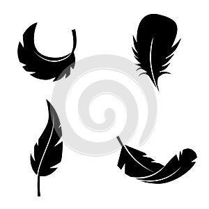 Feather collection vector icon set.