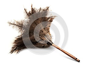 Feather Duster