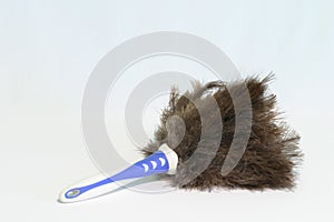 Feather Duster