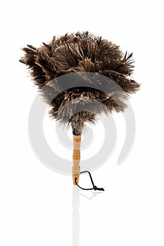 Feather duster against white background