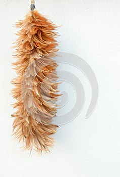 Feather duster on cement background