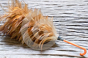 Feather duster