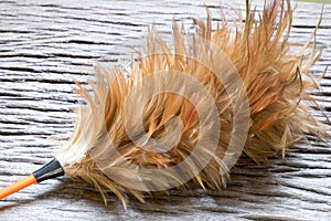 Feather duster