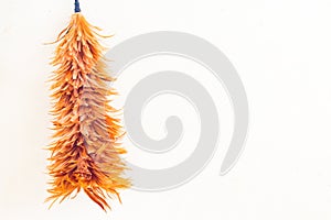 Feather duster on concrete wall background