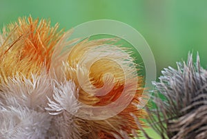 Feather duster detail