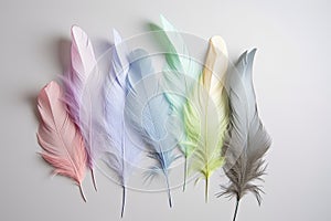 Feather dusters in pastel colors on a light gray background