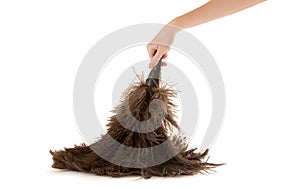 Feather Dusting
