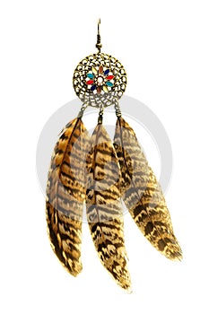 Feather earrings isolated