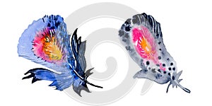 Feather element set. Hand drawn watercolor illustration
