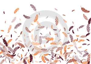 Feather ethnic background vector print.