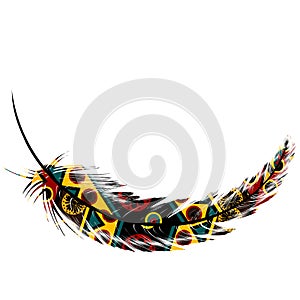 Feather with ethnic motifs