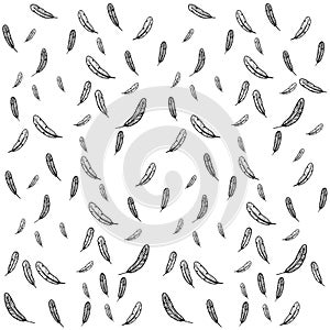 Feather fall illustration vector. background isolated on white. pattern background. tattoo design. line art drawing.