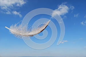 Feather floating in the sky