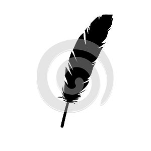 Feather florish vector illustration