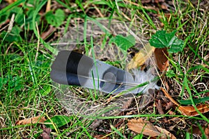 Feather,foliage and green grasses photo