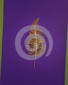 Feather heat birds on a purple and green background. Golden glitter feather,
