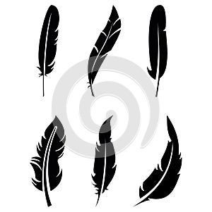 The feather icon is black on a white background