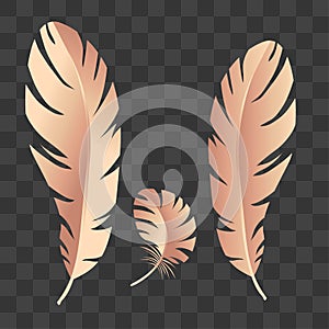 Feather icon. Illustration of feather. Feather pen silhouette. Feather writing .Logo Template vector illustration. Eps 10