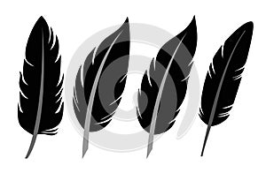 Feather icon set photo