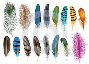 Feather icon set, realistic style
