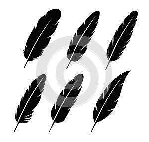 Feather icon photo