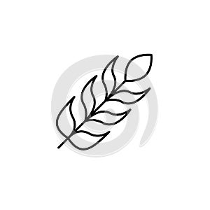 Feather icon vector design template