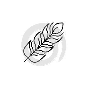 Feather icon vector design template
