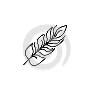 Feather icon vector design template