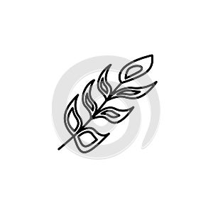 Feather icon vector design template