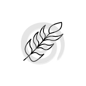 Feather icon vector design template