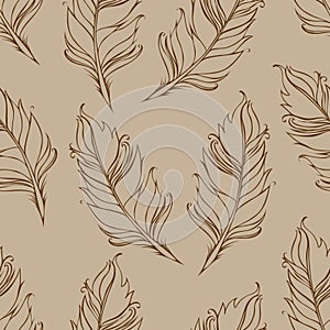 Feather isolated. Seamless pattern. Vector illustration. Brown and beige colors